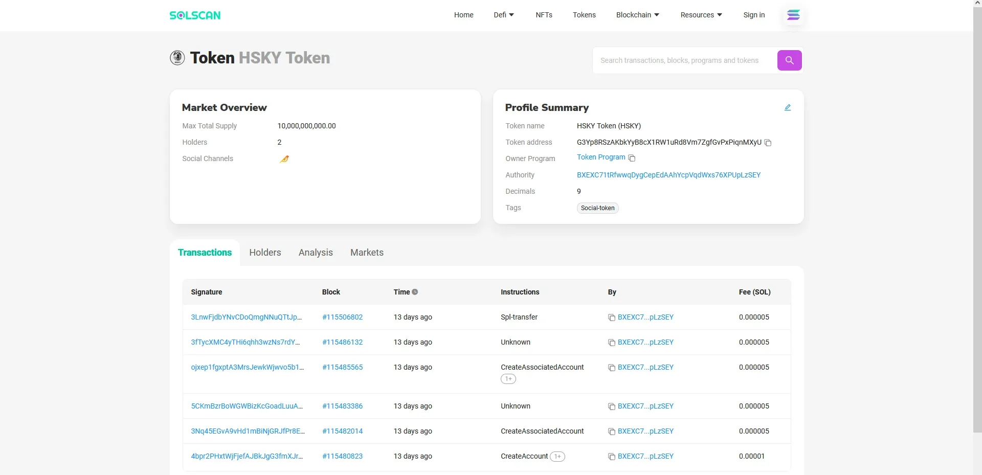 Custom HSKY token parsed and displayed on the web wallet interface