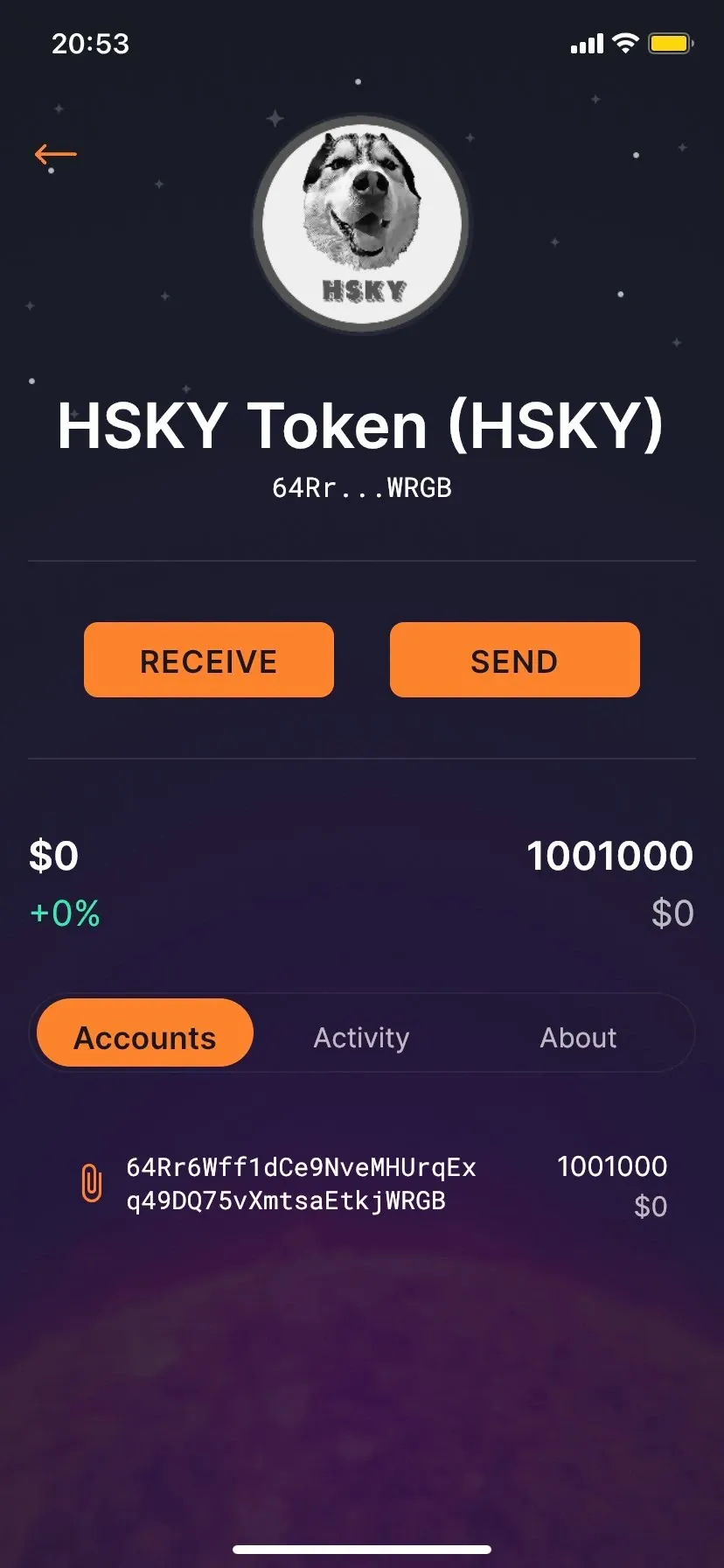 Mobile view of the custom HSKY token in decentralized wallet wallets