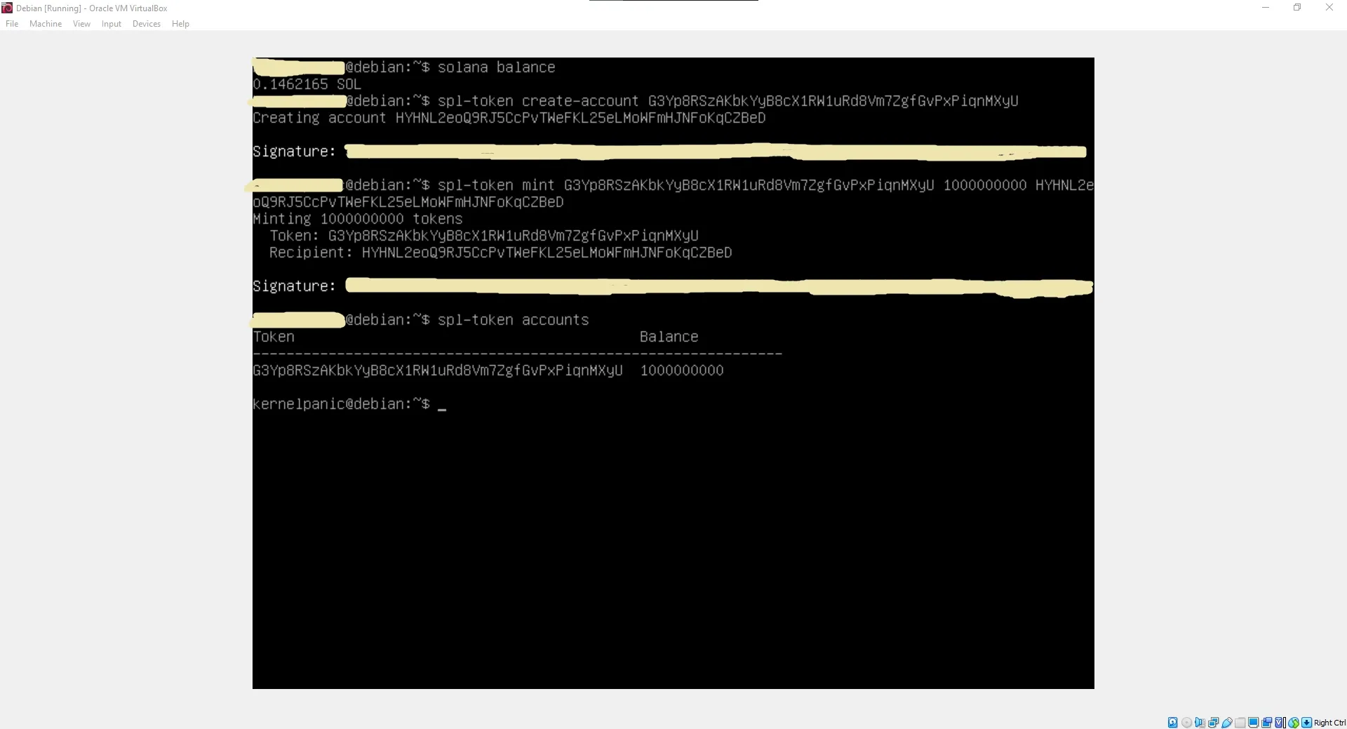 Minting the custom HSKY token supply into the local account